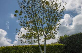 Epotx Etxea - Foto 45