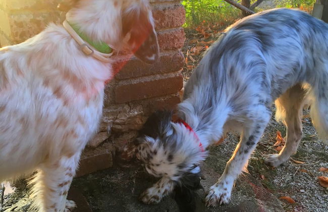 Setter House Agri Hotel - Foto 74