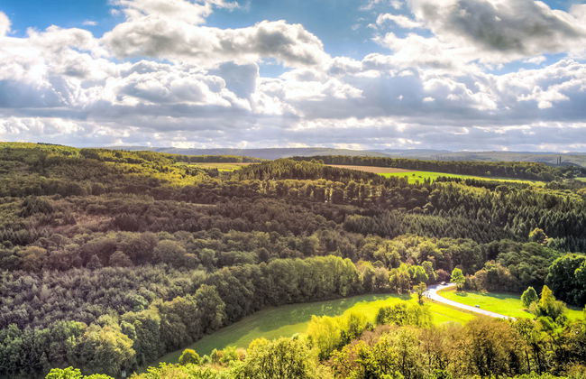 Burgblick (A1110) - Foto 28