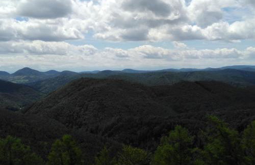 Ferienhaus Hedwig - Foto 33