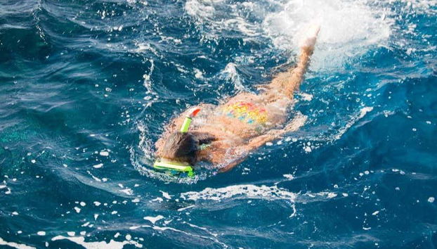 Port d'Andratx & Egos Cove Boat Trip - Foto 3