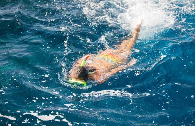 Port d'Andratx & Egos Cove Boat Trip - Foto 3