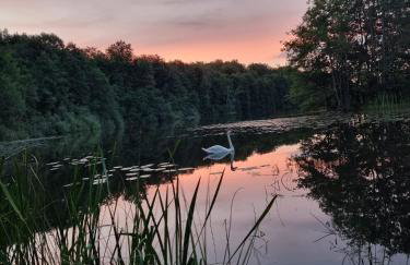 Kaszubska Kryjówka - Komfortowy 8 osobowy Domek w sercu Kaszub - Jacuzzi, Sauna, Rowerek Wodny, Jezioro, Las, Salon Gier! - Foto 13