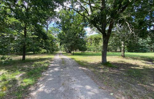Domaine forestier Darricau au bord du lac, 12 min de l'océan - Foto 58