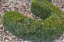 Ferienwohnung Richter-Haustein - Foto 12