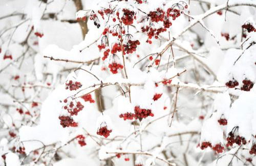 Zuhäusl am Chiemsee Appartements - Foto 35