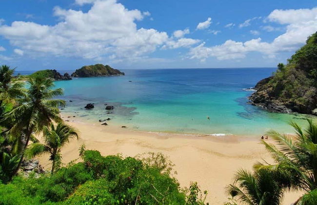 Balade en bateau + Snorkeling à la Plage Sancho - Photo 3