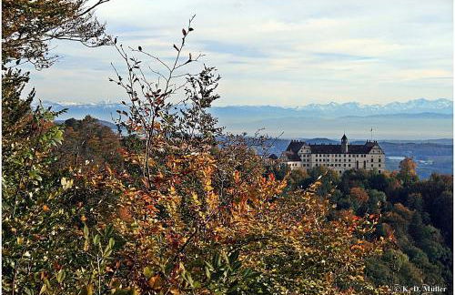 Haus am Waldrand - Foto 39