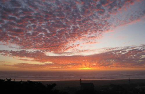 Sea Scallop - Foto 21