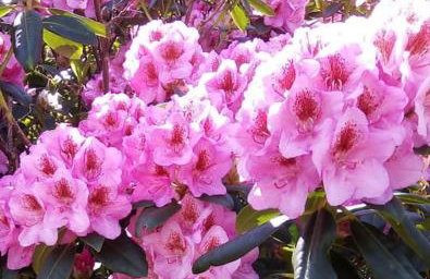 La maison bleue, entre terre et mer - Foto 27