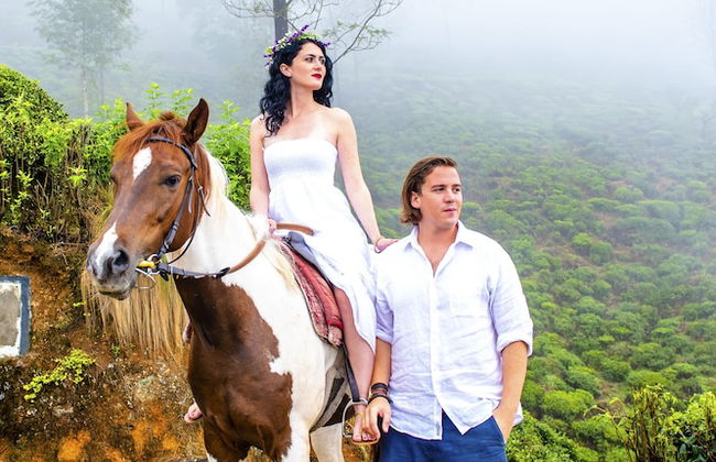 Brockenhurst Bungalow - Foto 15