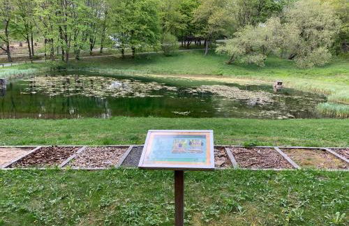 Gemütliche Ferienwohnung Harz Braunlage Hohegeiß - Foto 21