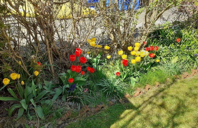 Marina View, Lovely Upper 3 Bedroom Apartment - Foto 27