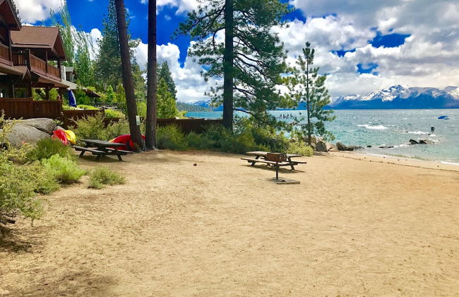 Month A Month Mv19 Willow - Foto 1