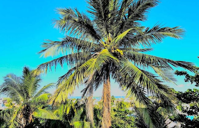 Hotel Villas Ponto Holbox - Foto 29