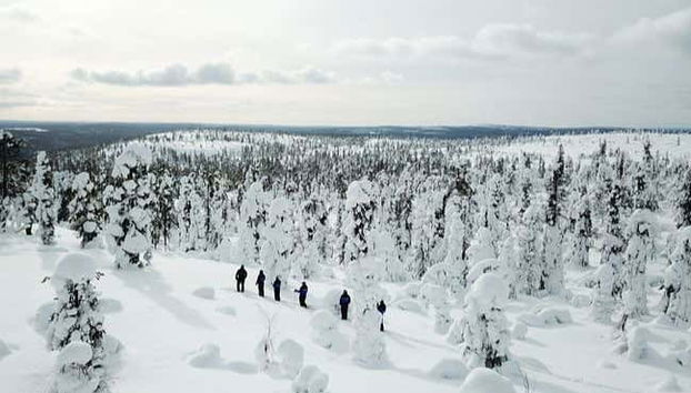 Pallas-Yllästunturi Ski Touring - Foto 2