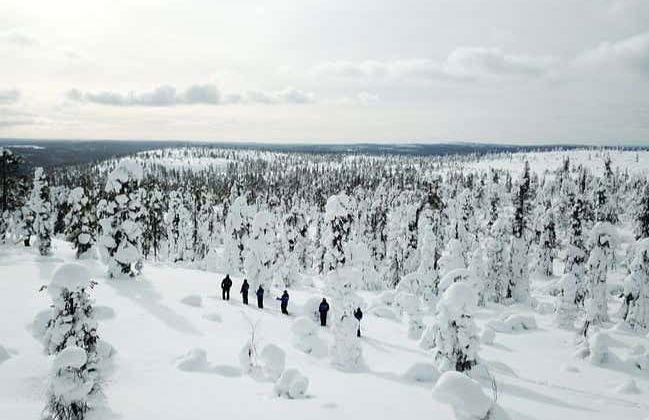 Pallas-Yllästunturi Ski Touring - Foto 2