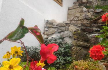 Casa Lausen - Foto 49