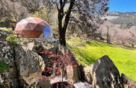 Domocantabria - Foto 10