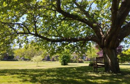 Domaine des Cerisiers - Piste cyclable reliant Honfleur - Parking privé & grand jardin - Foto 27