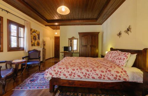 Τα Πέτρινα της Ελάτης - Petrina Elatis - Foto 11