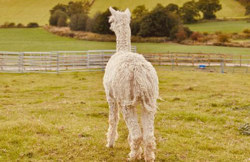 Parlour Barn - Photo 59