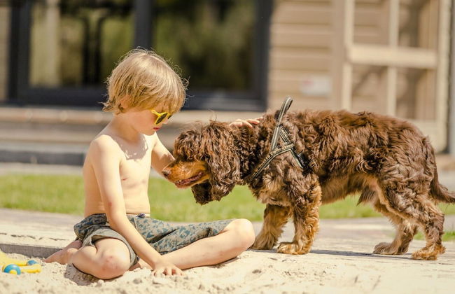 Wellness Lodge With Sauna and Wonderful Views - Foto 36