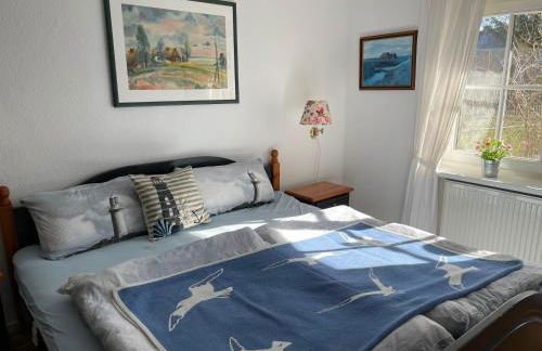 Landhaus Darss - Foto 61