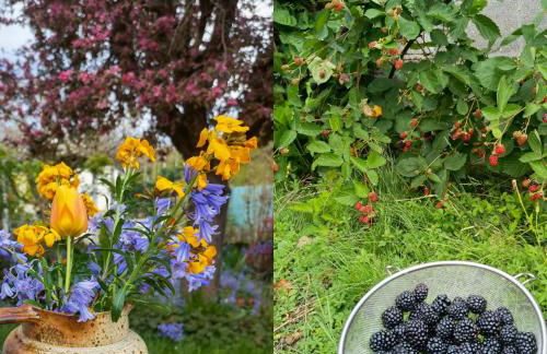 Exquisite tiny house with garden and air con - between Paris-Disneyland - 3mins from train station - Foto 26