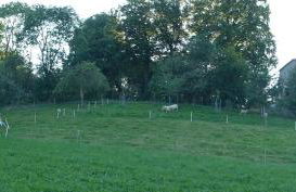 Ferienwohnung Aus-Zeit auf dem Lande - Foto 18