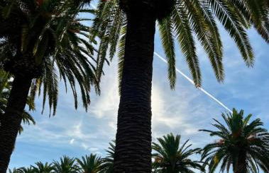 Apartman Leoni 1 linea - Foto 6