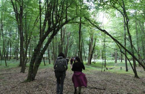 Siedlisko Na Szlaku Odry - Foto 30