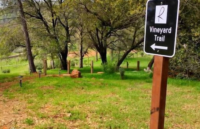 Papillon Cellars - Foto 18