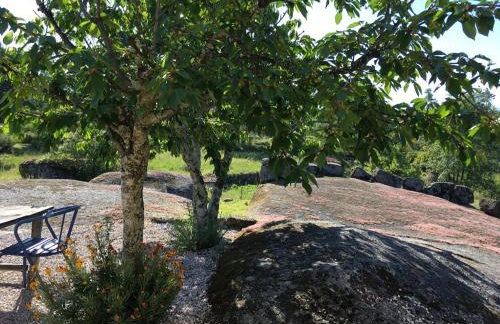 Quinta do Sobral de São Geraldo - Foto 28