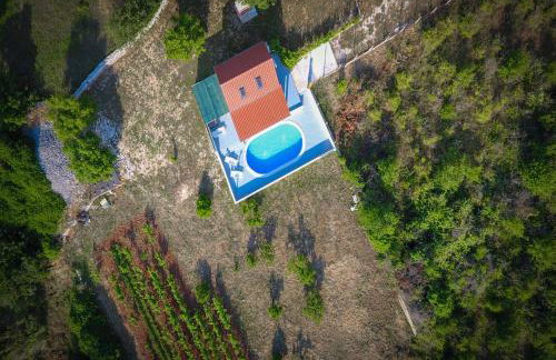 Villa Baras garden - house with pool - Photo 3