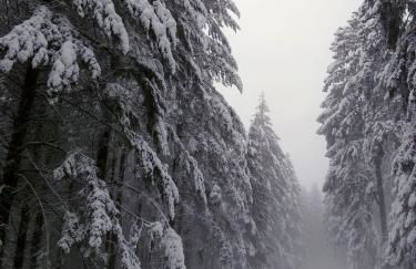 Kleine Milchbar Barrierefrei in den Bergen auf dem Hof Grindelborn - Foto 28