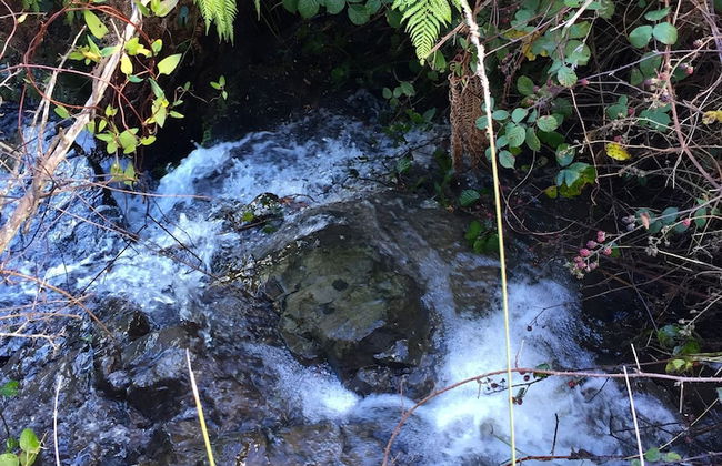 Manna Hill Farm - Foto 34