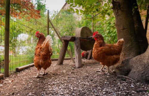 Relais de la Fontaine - Maison de charme - Foto 25