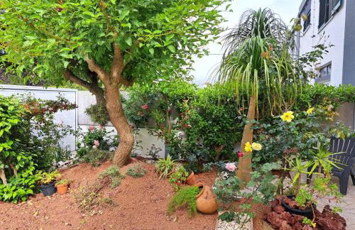 Friends'house - azores - Foto 30