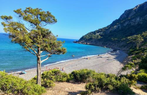 Orchid House - Foto 19