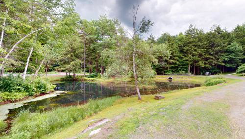 Quechee Hollow 2C - Foto 3