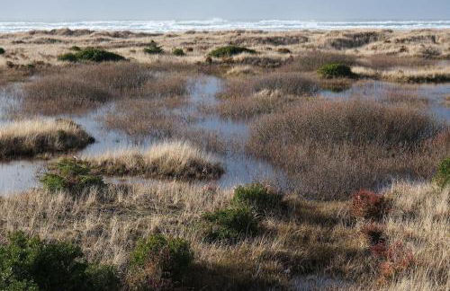 Tidal House #10 - Ocean Shores Chalet - Foto 18