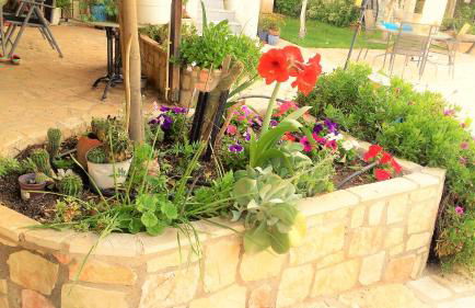 Jacuzzi Pool House AMA5690 - Foto 10