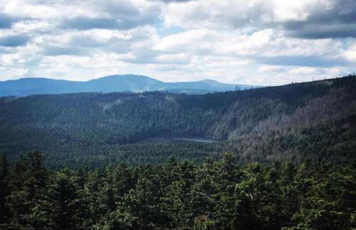 Ferienhaus im Bayerischen Wald - Foto 37