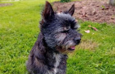 Gite L'Entraxe très lumineux au cœur de Saint Didier - Foto 19