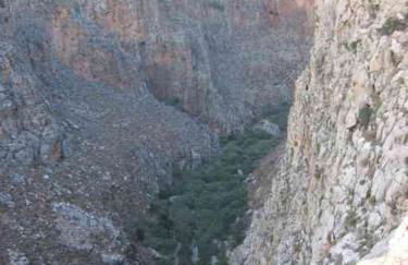 Dimitra Apartments Zakros Village - Photo 66