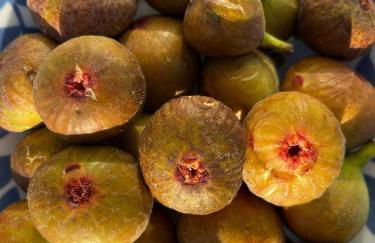 Casa Frutales Escaselas - Foto 6