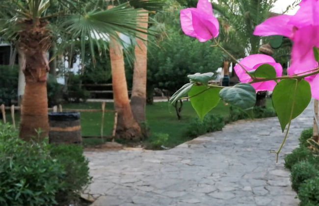 Stunning Spacious One Bed in Delta Sharm - Foto 44