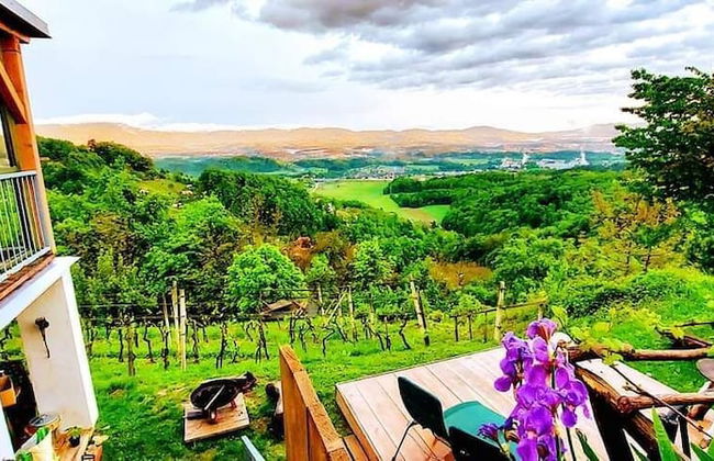 Vineyard cottage Verček - Photo 17