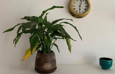 New Seaviews Apartment Puerto Mogán - Foto 14